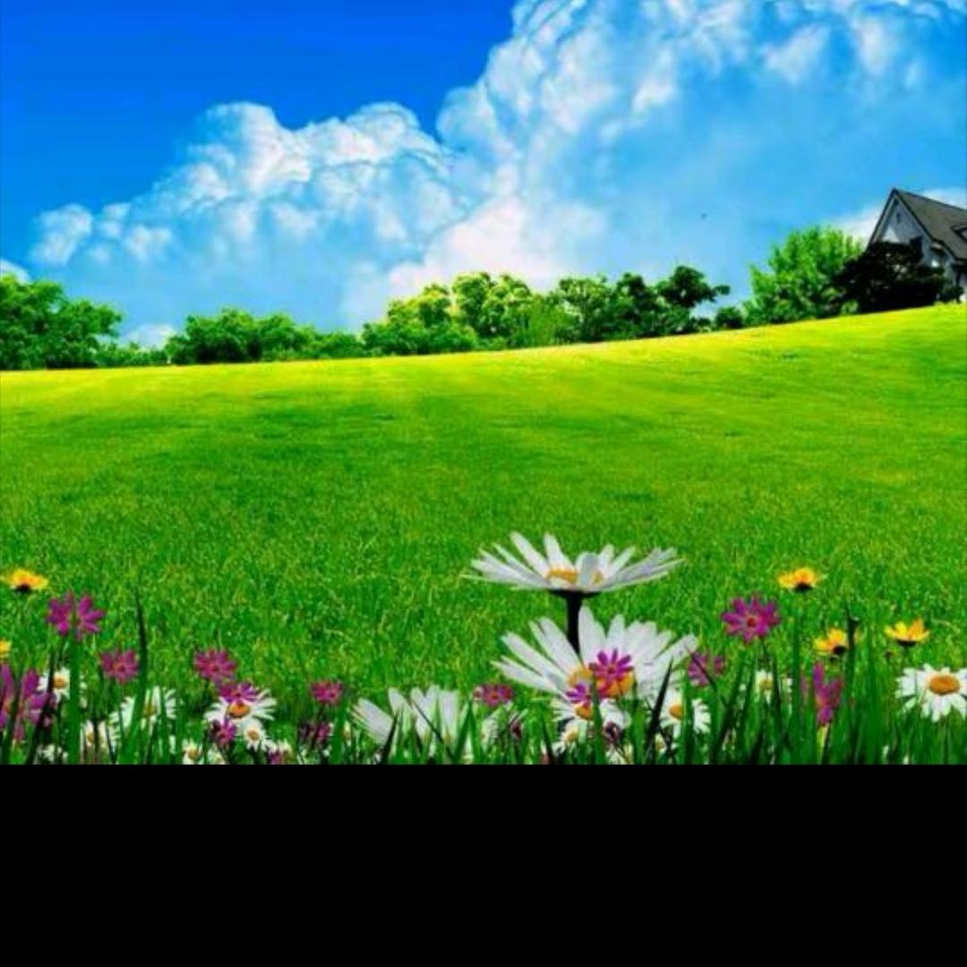 可歌可泣🍊🎧ᵀᴶ˙ˣᵀ