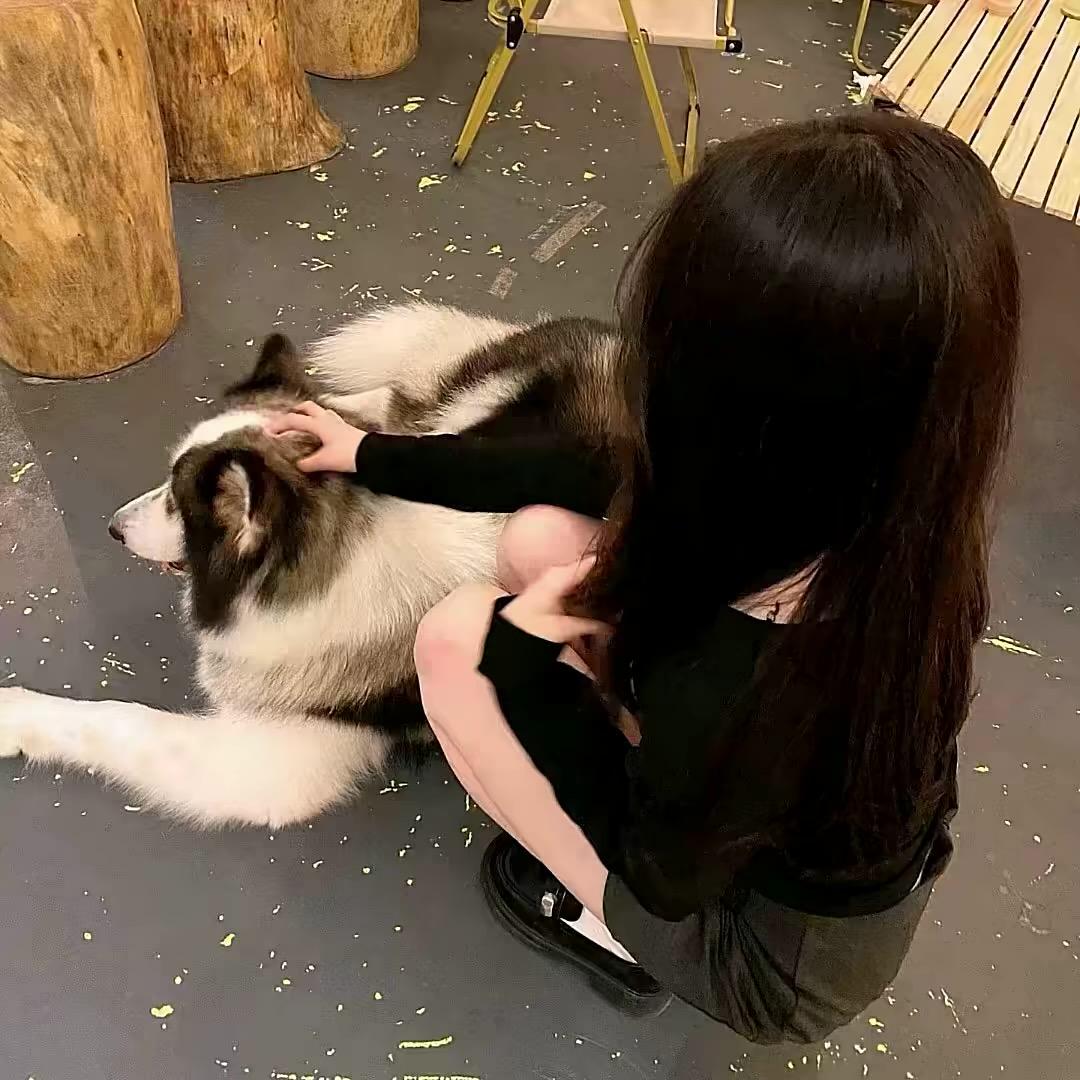 小宝