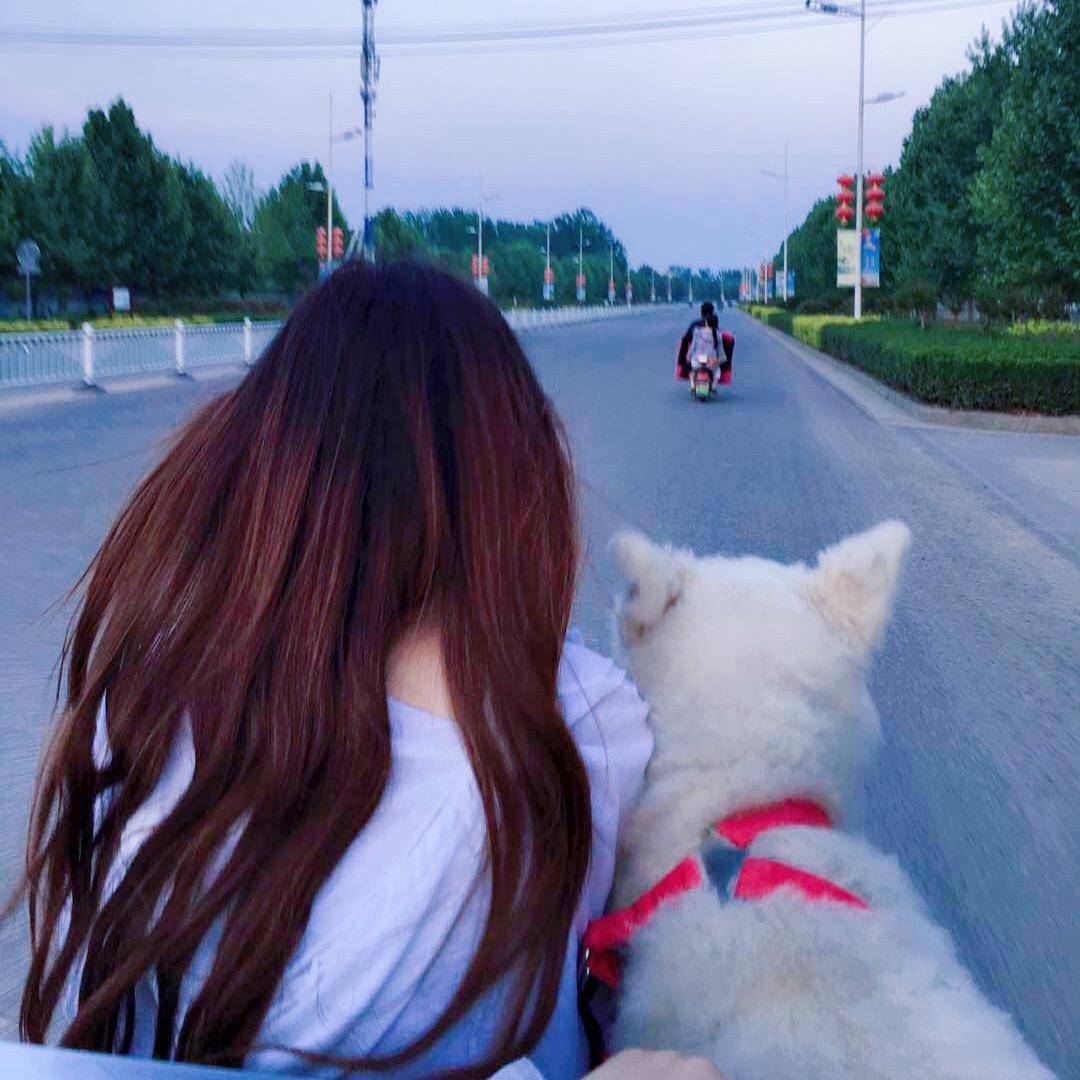 子焱🌙