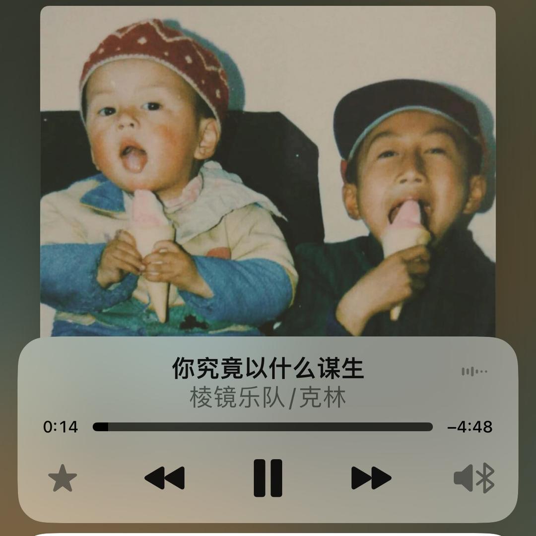 会游泳的鸟