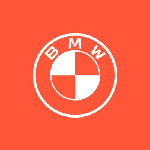 宝马技术服务李工