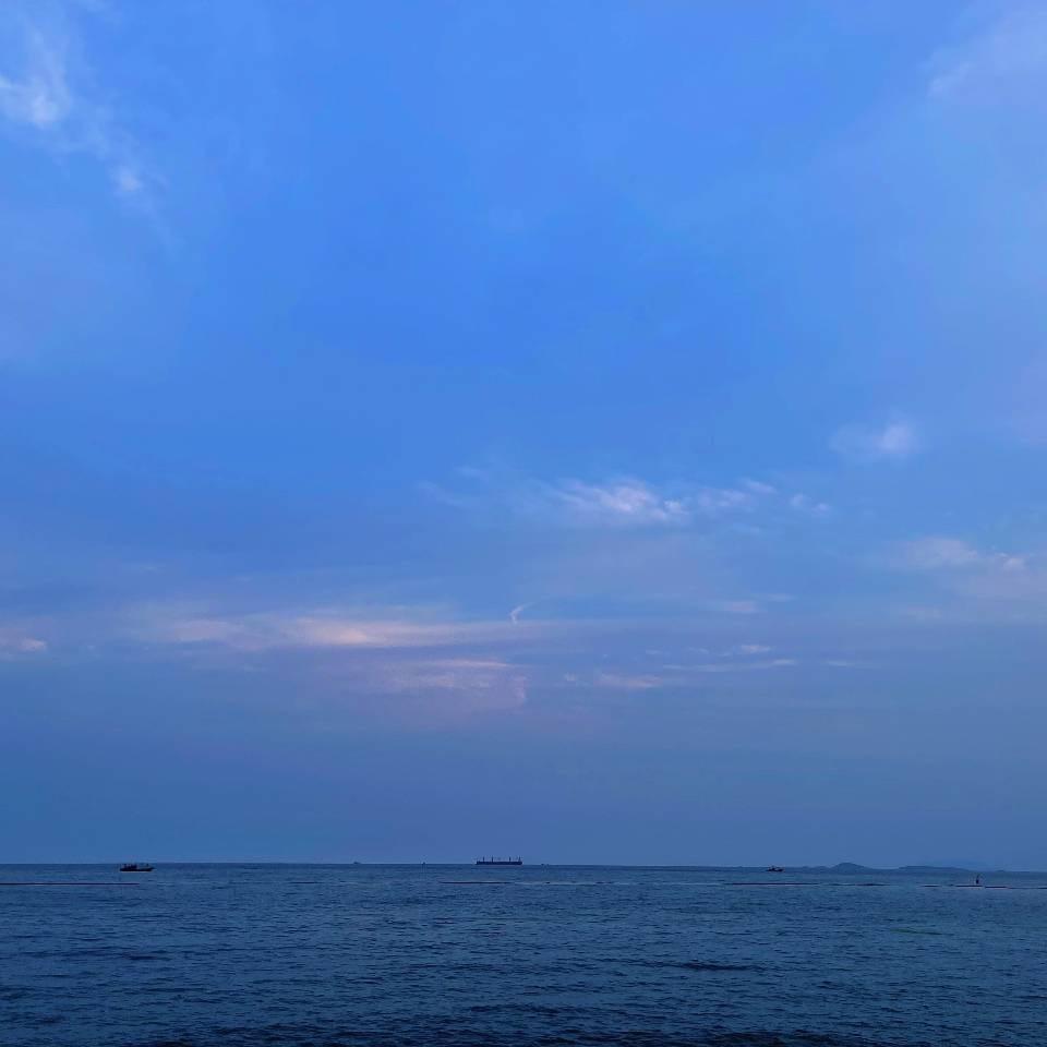 家门口的小绵杨