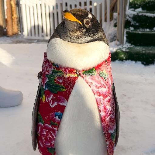 长春中泰海洋世界花絮号
