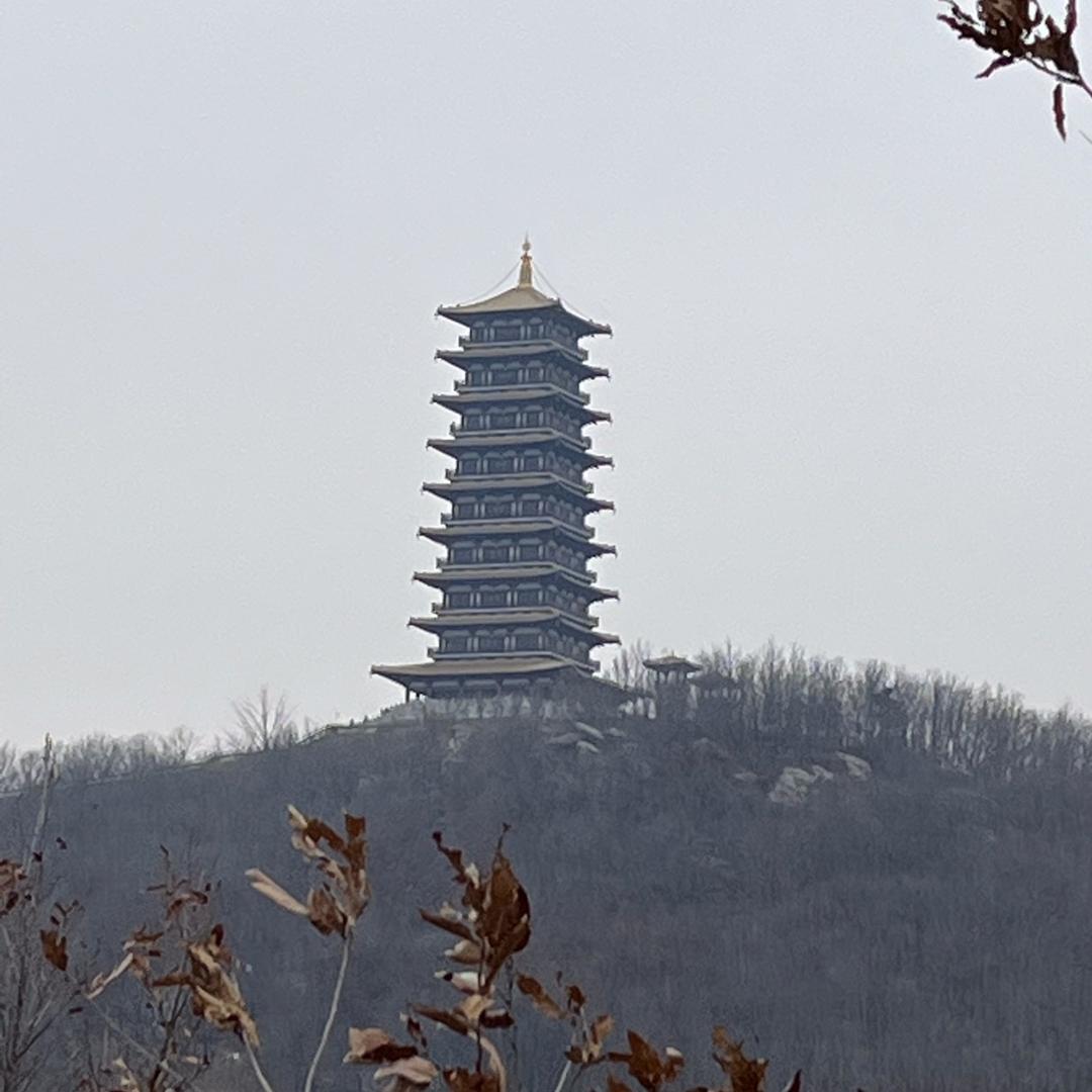 老潘二手废钢设备