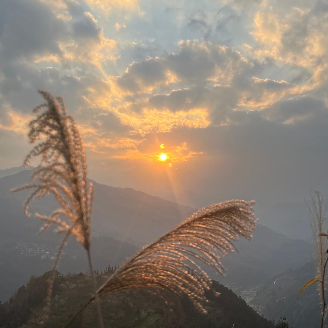 不想努力的小赖头像