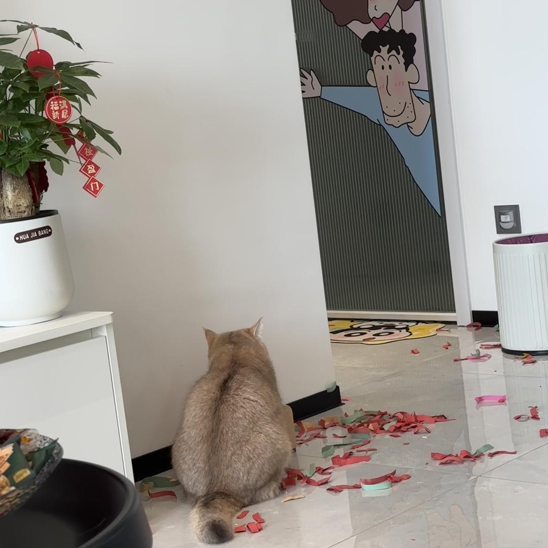 周二不上班