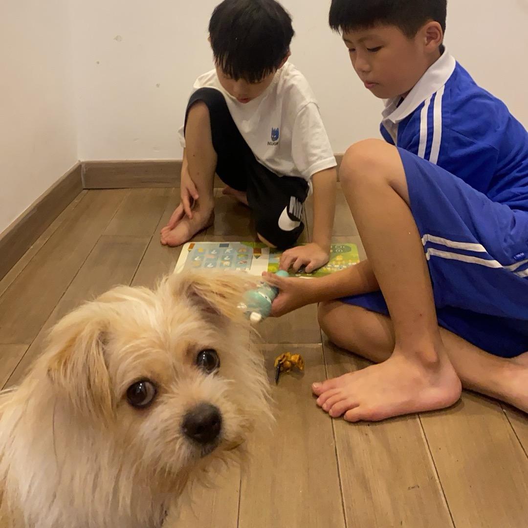 深圳入户～圆圆