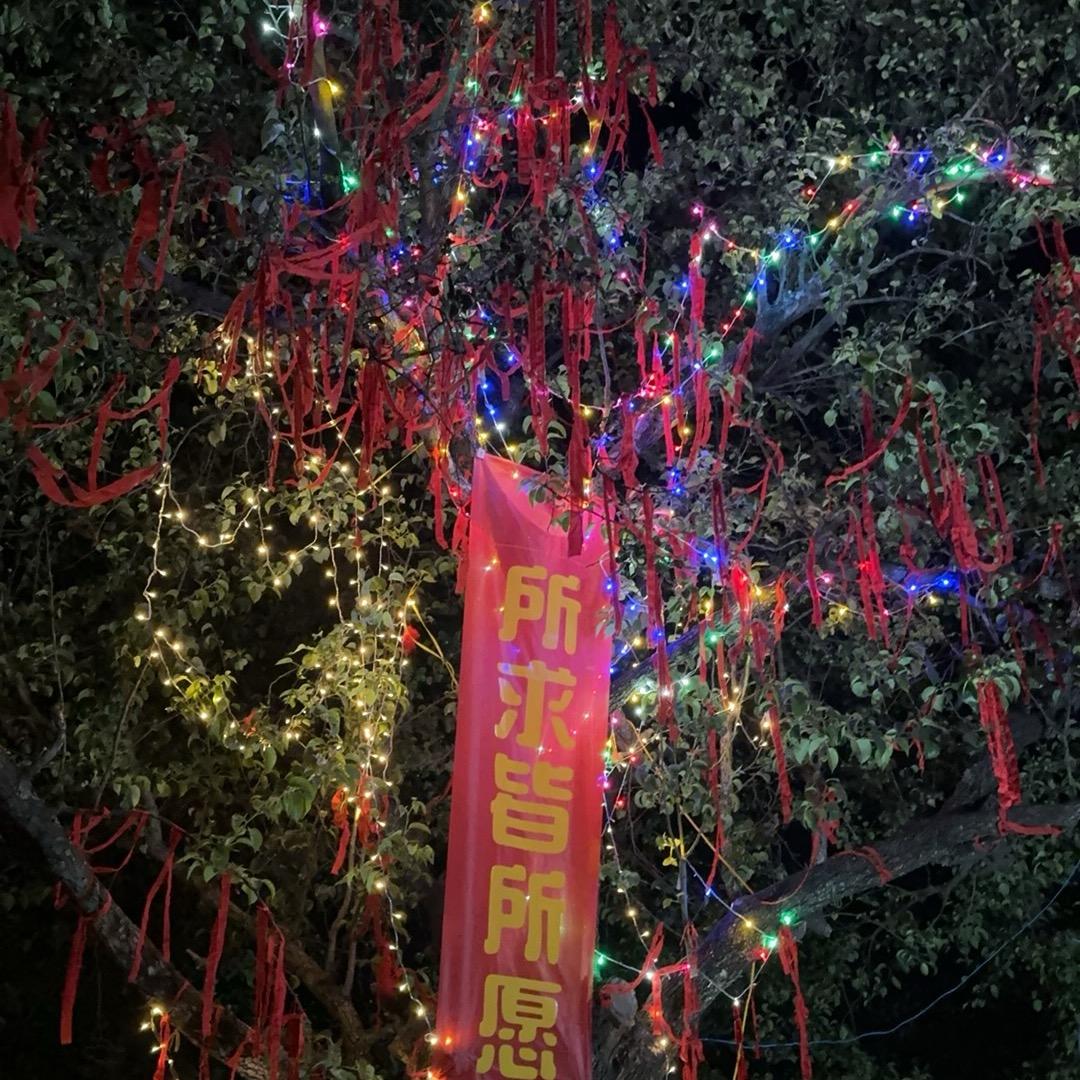 梨园放炮888