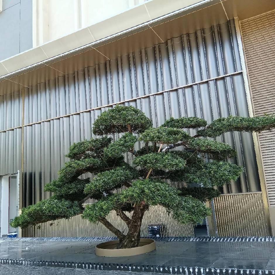 🚬远方🍺有期待