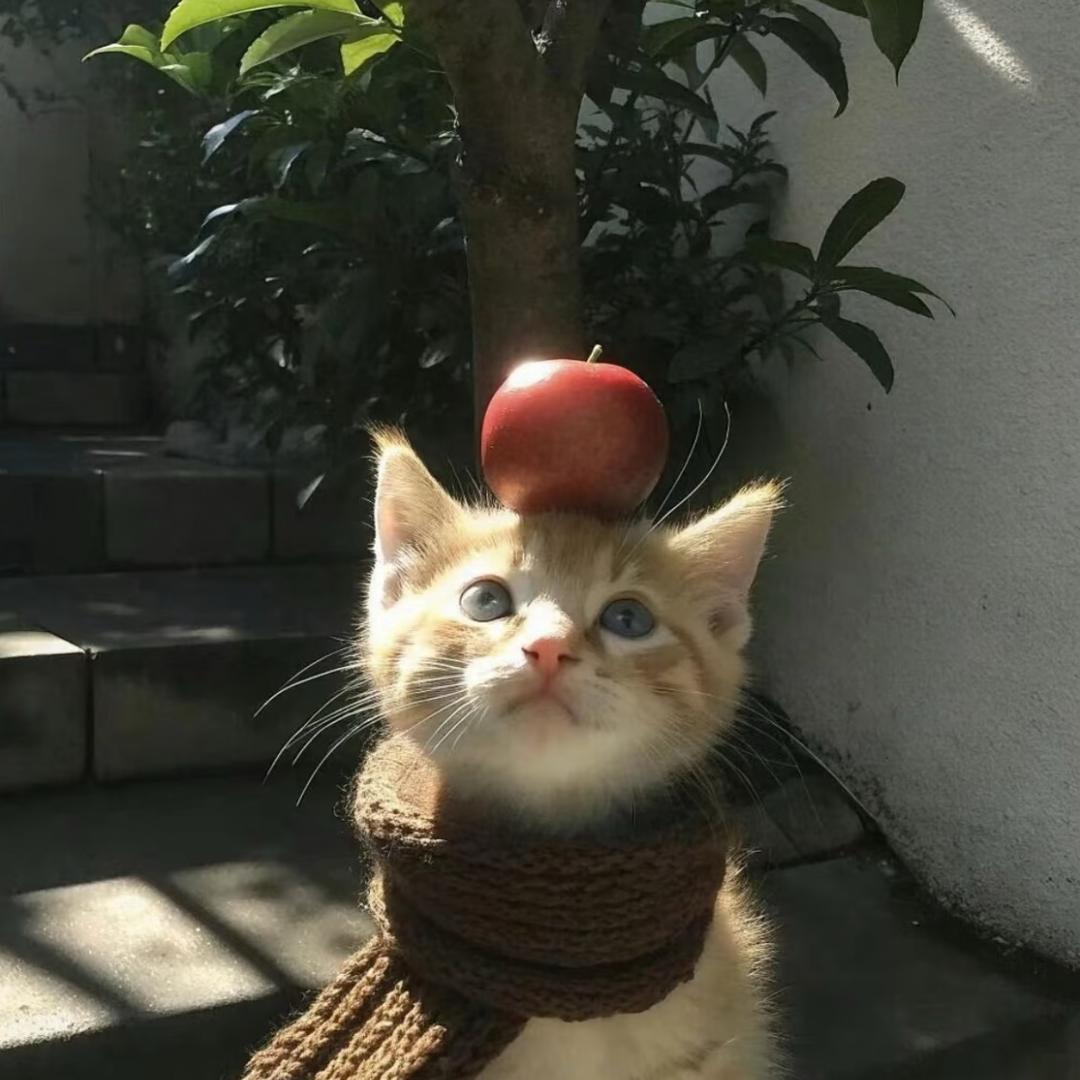 早早
