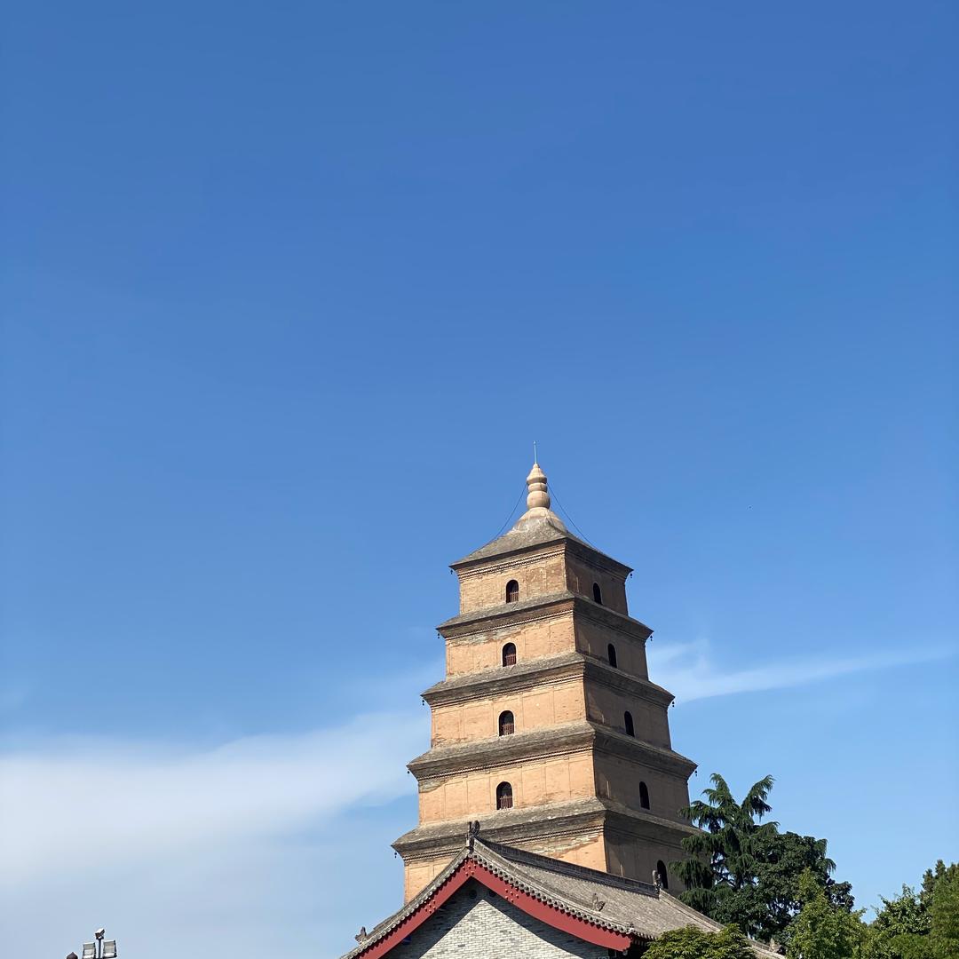 艾艾