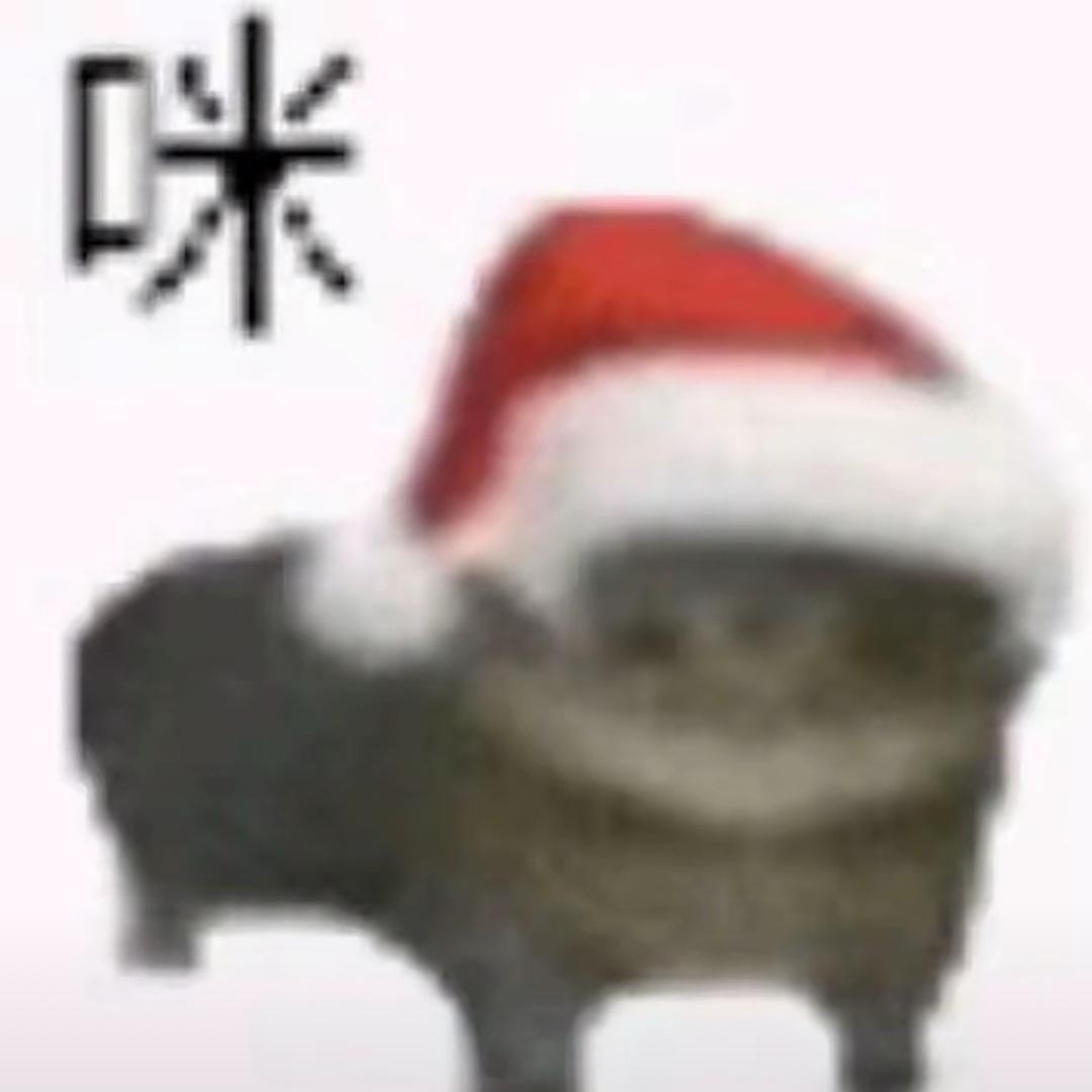妞宝.