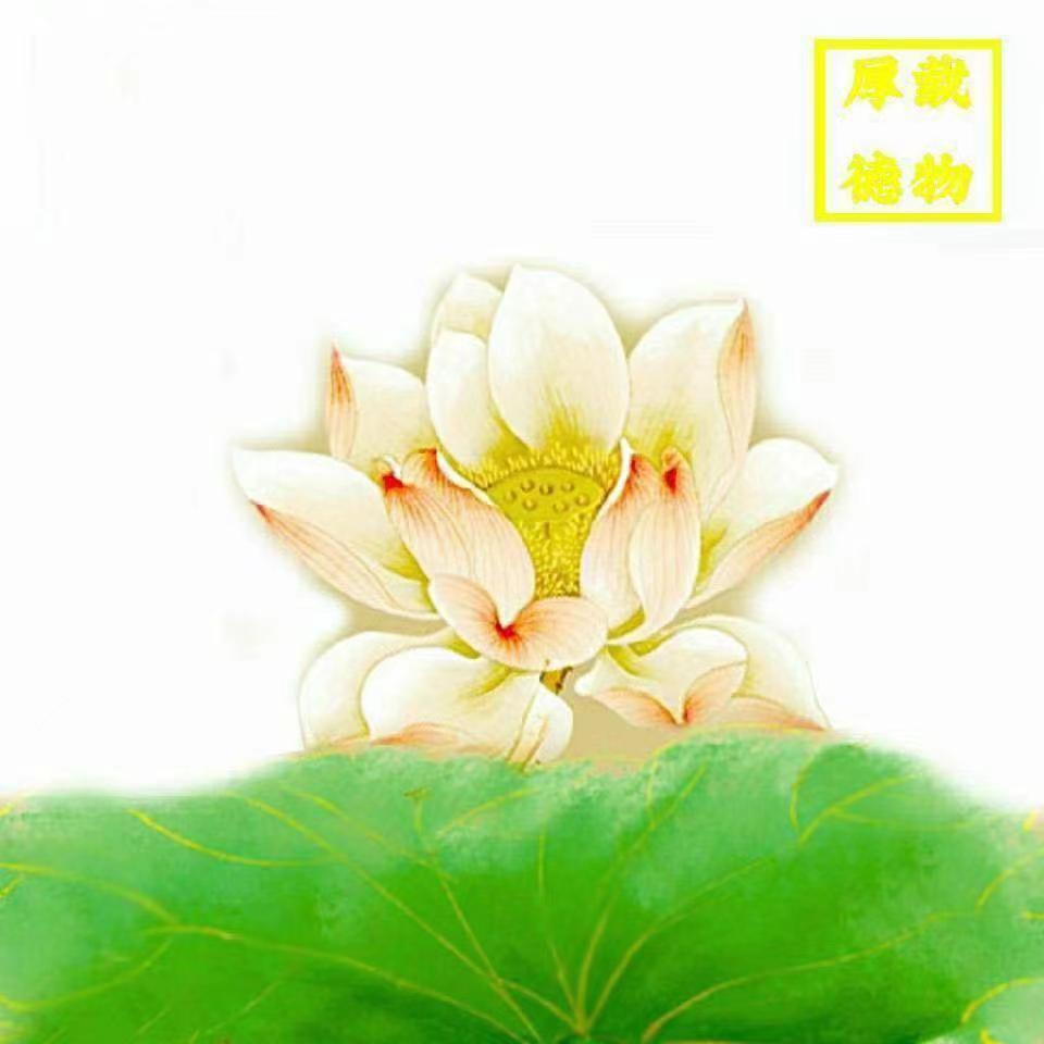 田蜜蜜