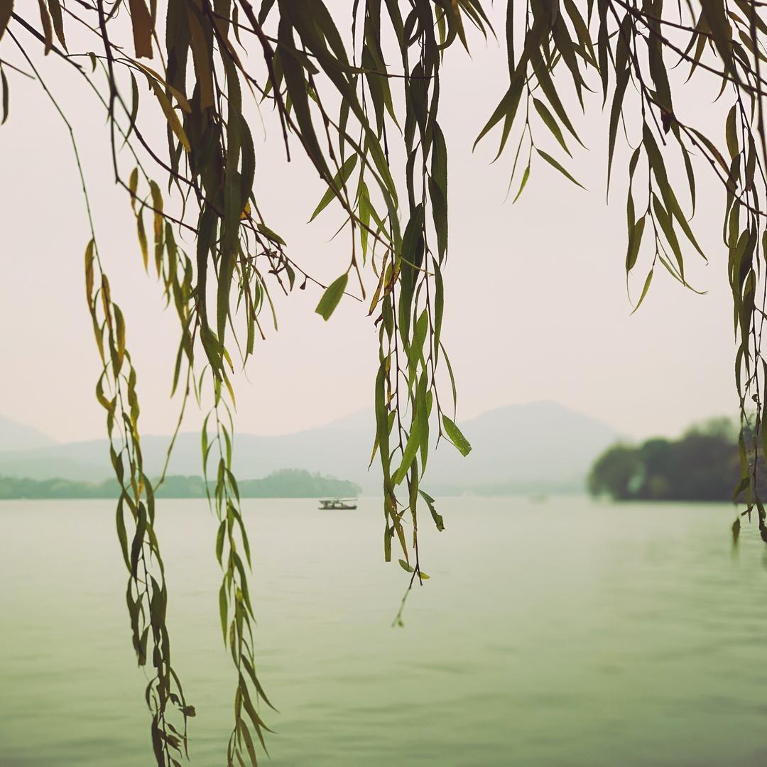 清远吃喝玩乐大喇叭