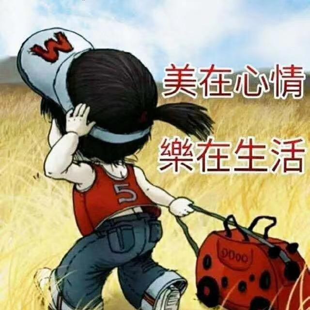悟道369