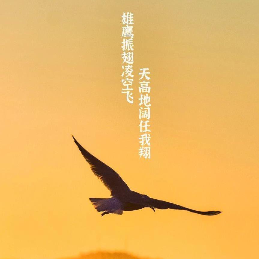阳逻开发区驾校罗教练