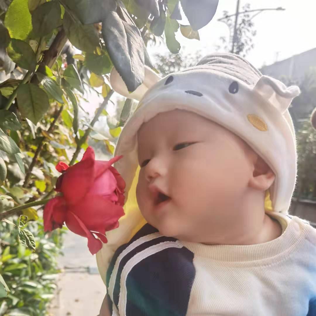 茹茹大米小包子