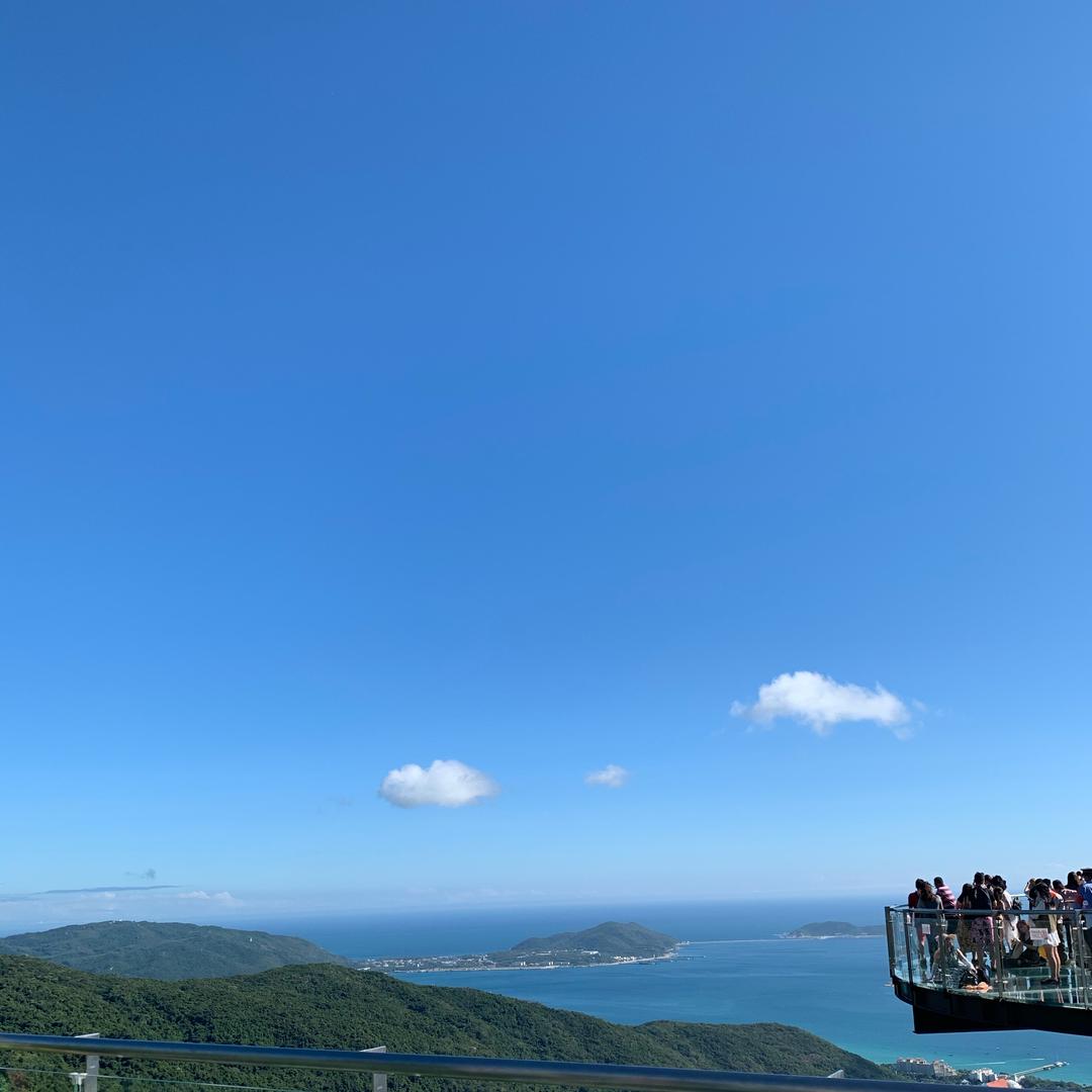 巴总