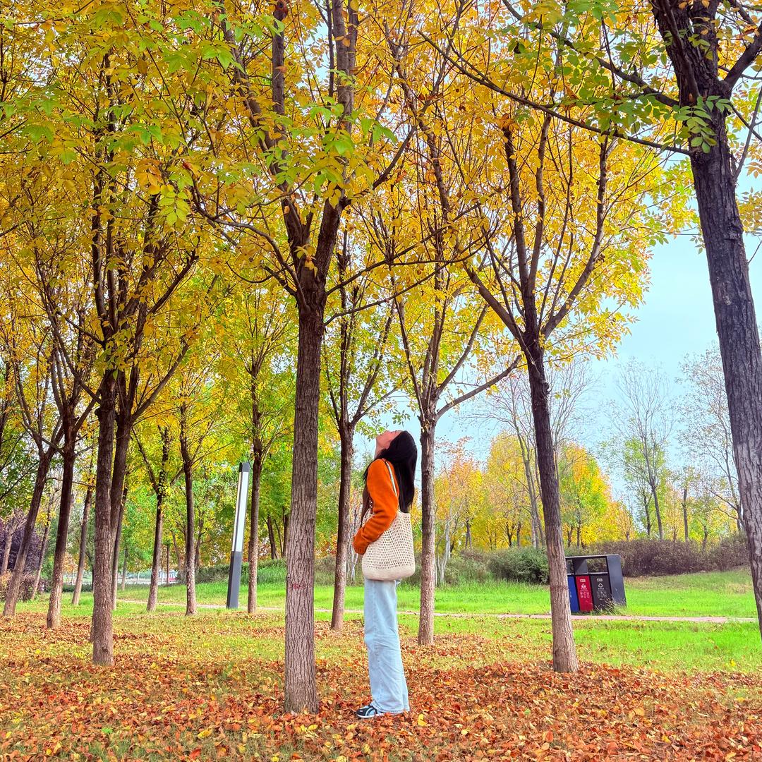 喜欢花的face🌸