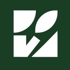 远志未来美术李老师