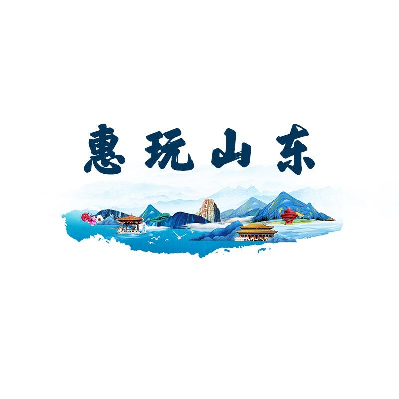 惠玩山东Pro