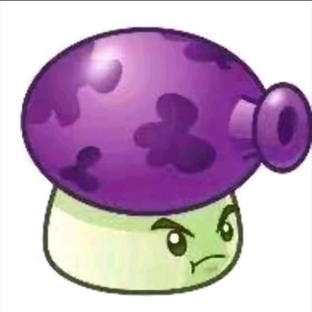 🟣 🟣 🟣 🟣 🟣