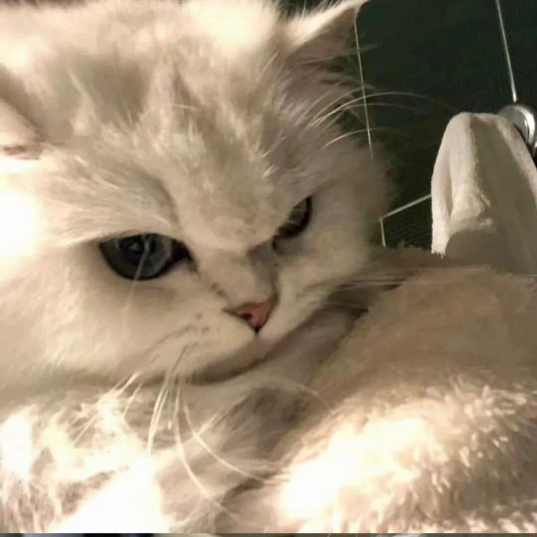 ..阳