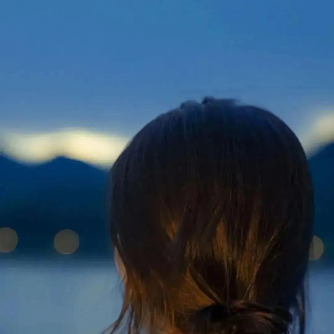 鱼夫子的蝴蝶鲤