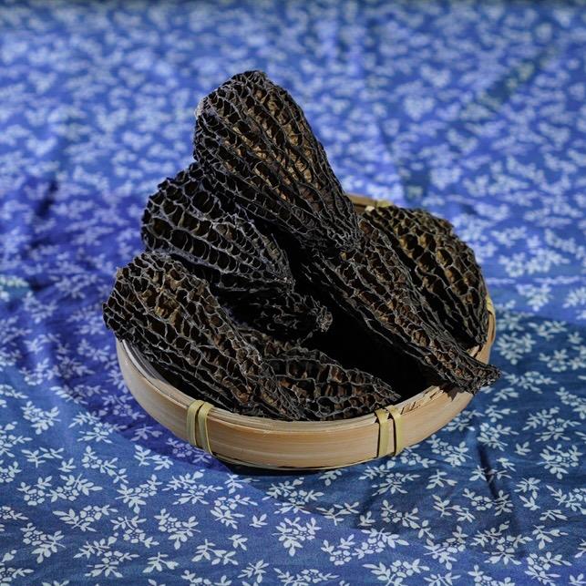 仙味菇羊肚菌批发