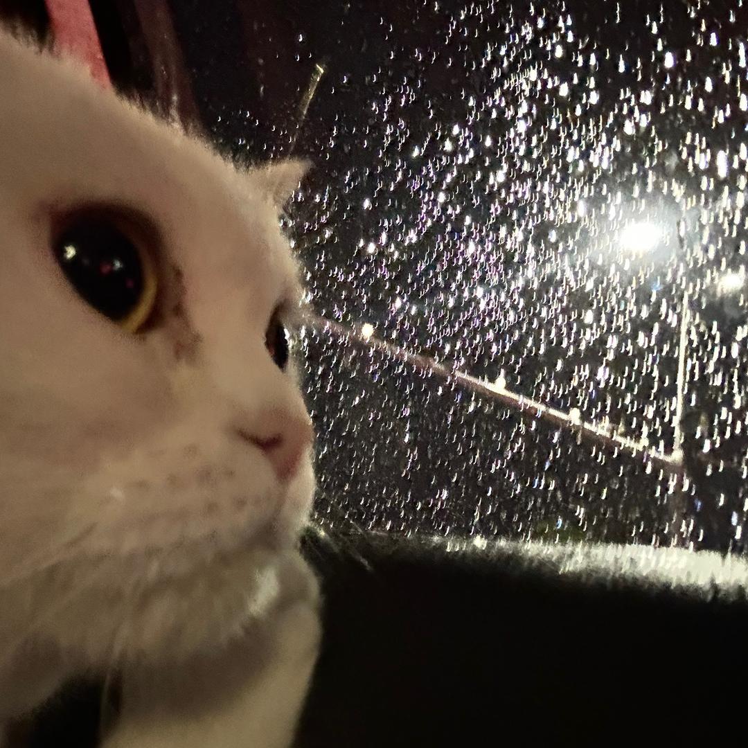 🌈🌈🌈豆花花花🌈