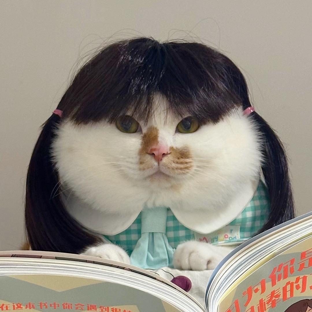 美牙