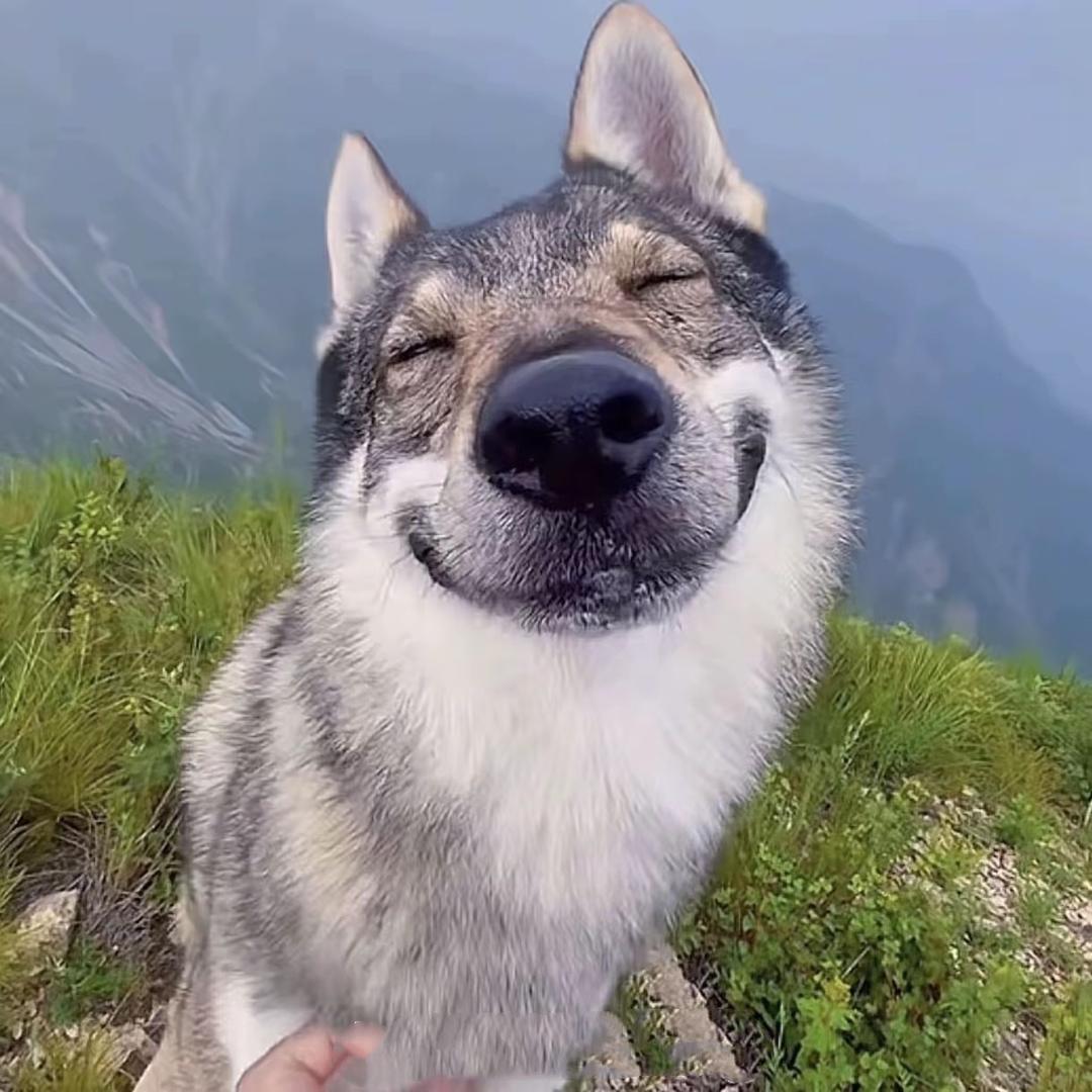 宇宙快乐发射器