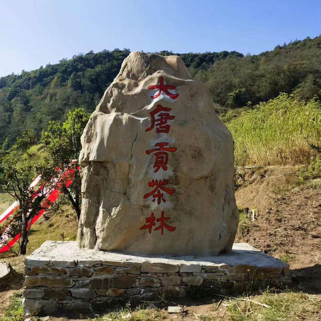 midihaocha
