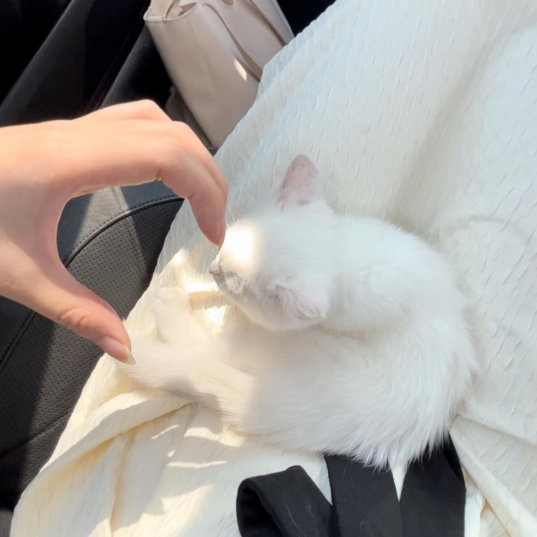 温柔