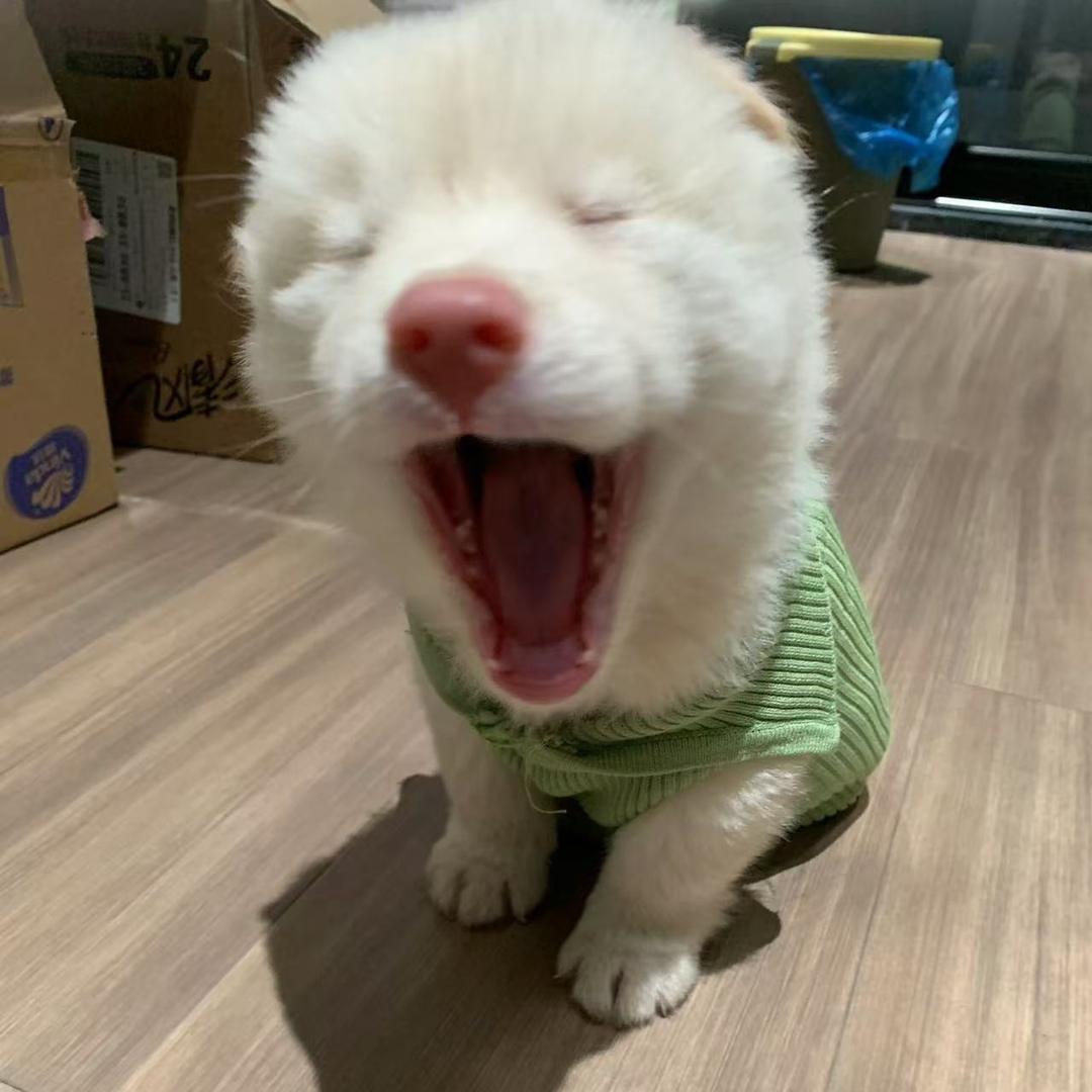 古希腊掌管土松的王