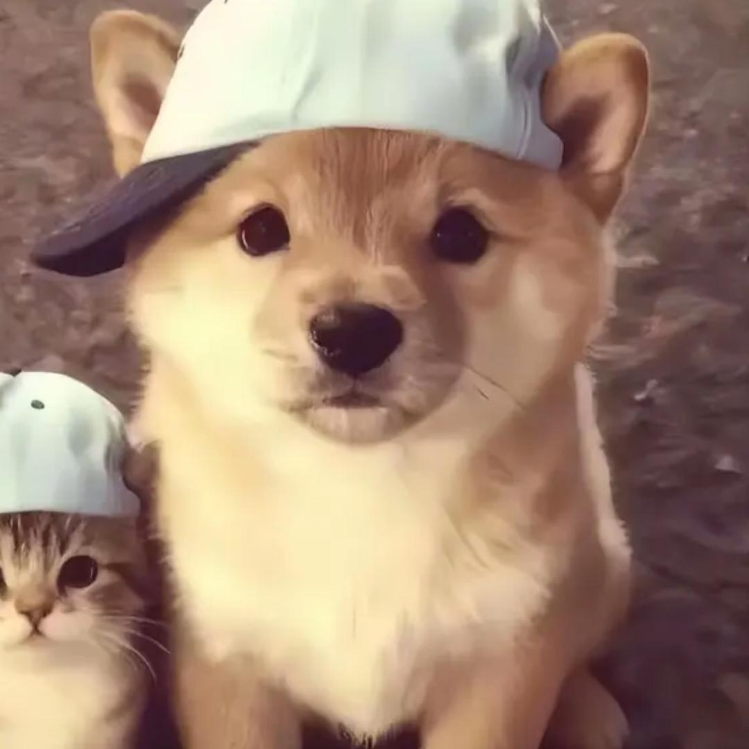 猛踹瘸子那条好腿.