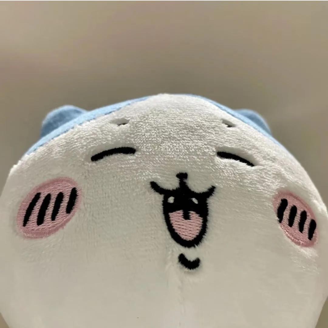 鱼摆摆🫧