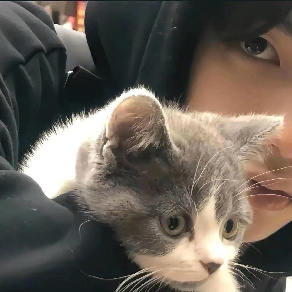 好运滚滚有钱花🐏