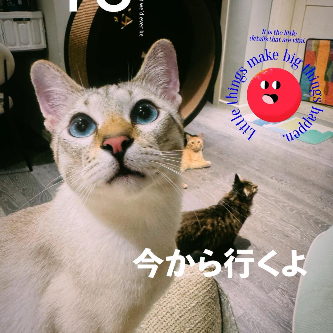 **🐱**🐶💨💥爆抱姐