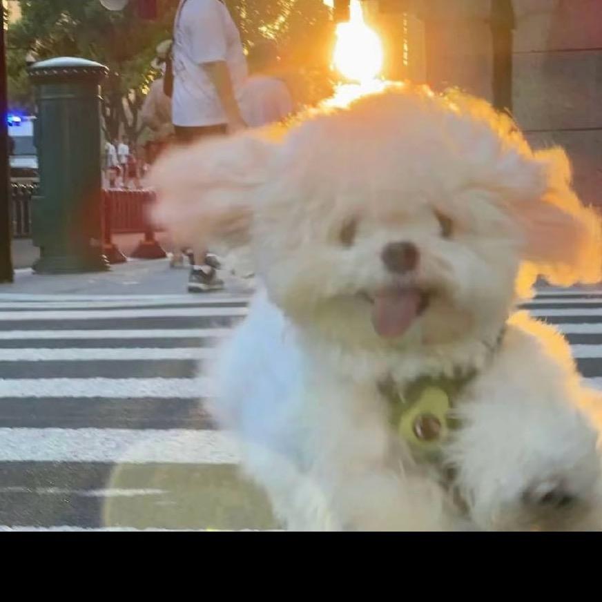 喜柿百货🍅(互粉有关必回)