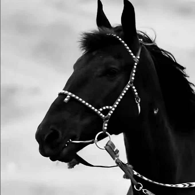 过年回去做三工