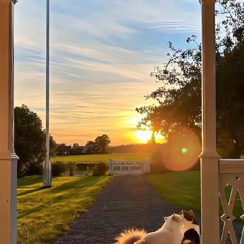 家禽拔毛器工厂直销