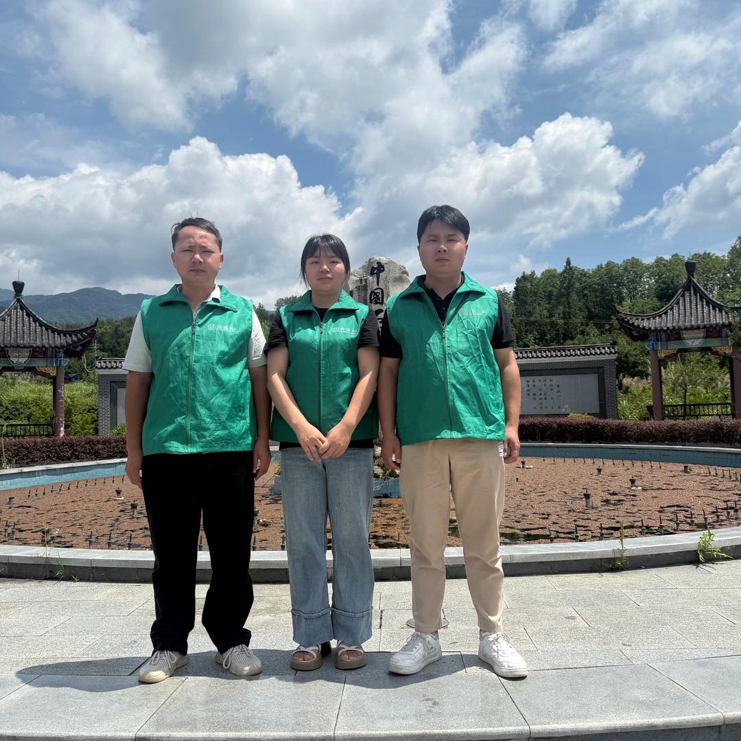 霍山斛源头石斛