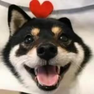 蛋黄酱