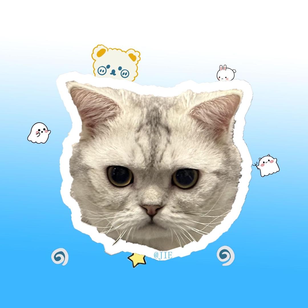 ʲⁱᵉ个娱乐（求关注版）