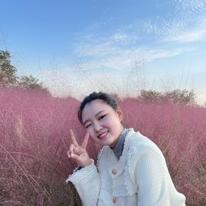 林州虎宝 双虎整装 蕾丝床垫 年青家家居