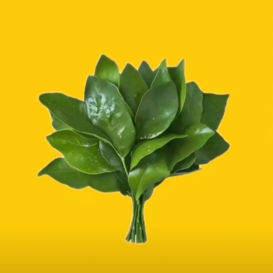 拾一💕