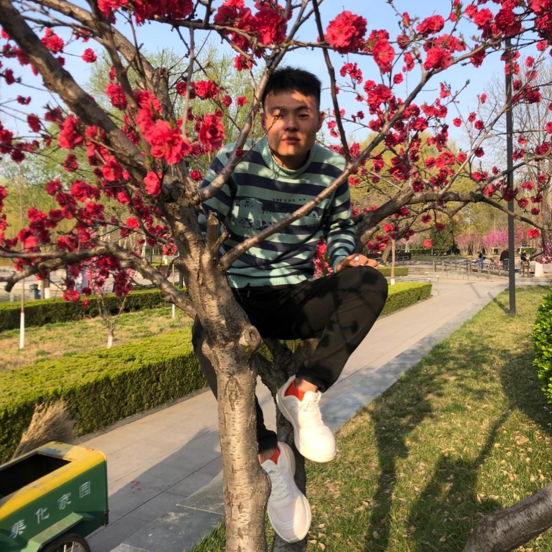 无时无刻的睡眠中