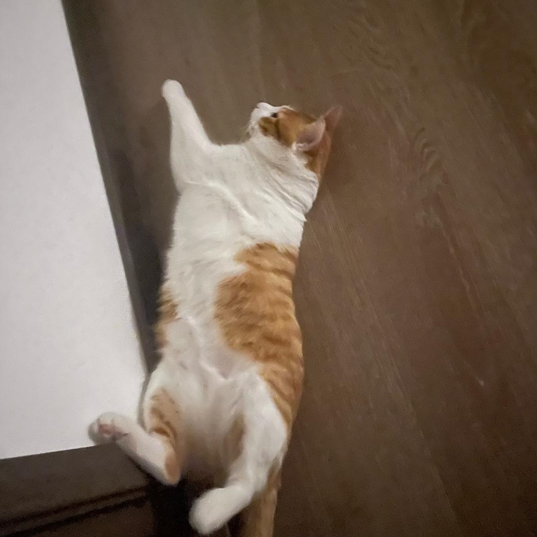 nini好好