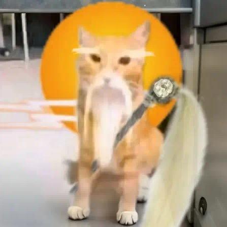 道法自然